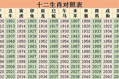 2023年是什么命|2023年属什么的生肖 2023年属什么生肖是什么命